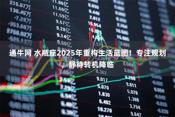 通牛网 水瓶座2025年重构生活蓝图！专注规划，静待转机降临