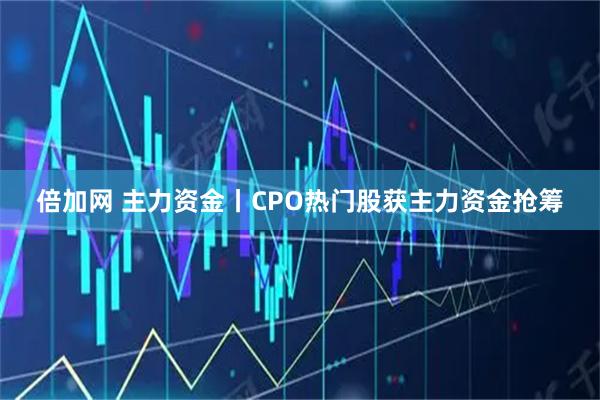 倍加网 主力资金丨CPO热门股获主力资金抢筹