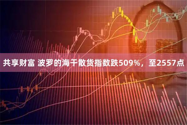 共享财富 波罗的海干散货指数跌509%，至2557点